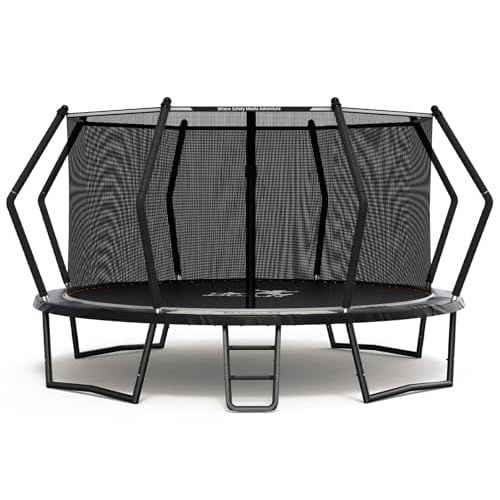 BCAN 8FT 10FT 12FT 14FT 15FT 16FT Recreational Trampoline with Enclosure for Kids Adults, ASTM Approved, Outdoor Trampolines with Ladder for Kids 14FT Tseries-Black