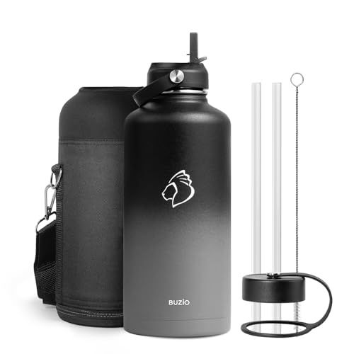 Insulated Water Bottle with Straw Lid, Modern Double Vacuum Stainless Steel Water Flask, Simple Half Gallon Water Jug, Metal Thermo Canteen Mug,87oz Sports Bottle 87 Ounces Shadow