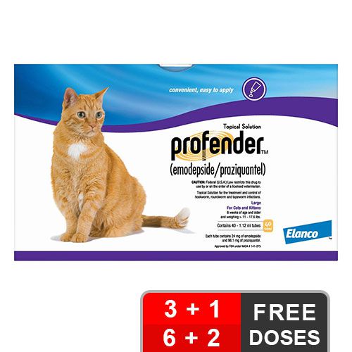 Cat Supplies