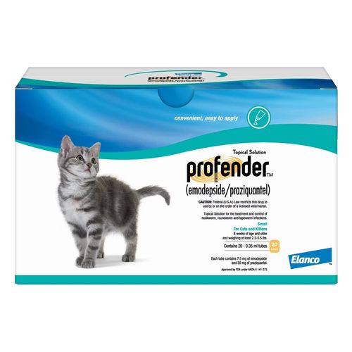 Cat Supplies