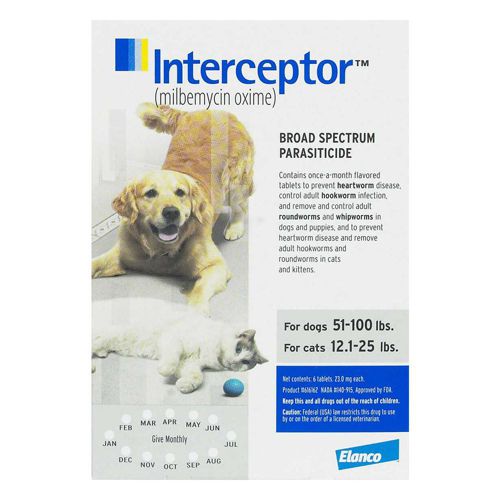 Dog Supplies
