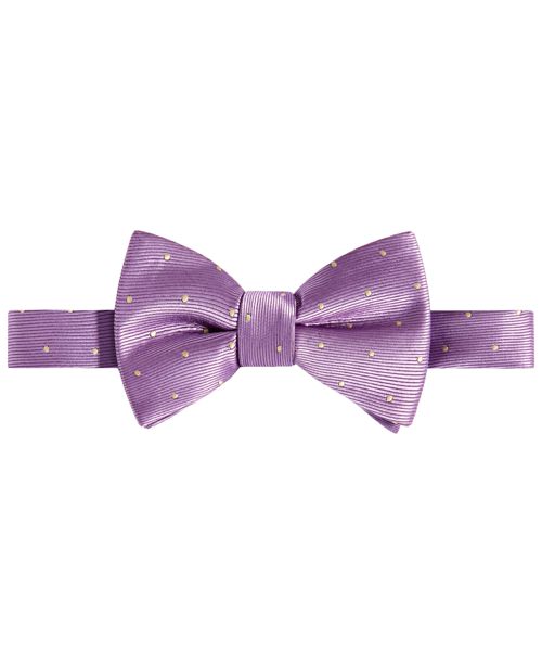 Tayion Collection Men's Purple & Gold Dot Bow Tie - Purple