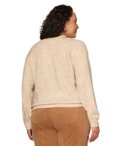 Democracy Plus Size Striped Band Detail V-Neck Sweater - Oatmeal/Pine Multi