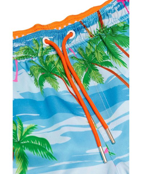 OppoSuits Men's Swim Shorts - Multicolor - flaminguy