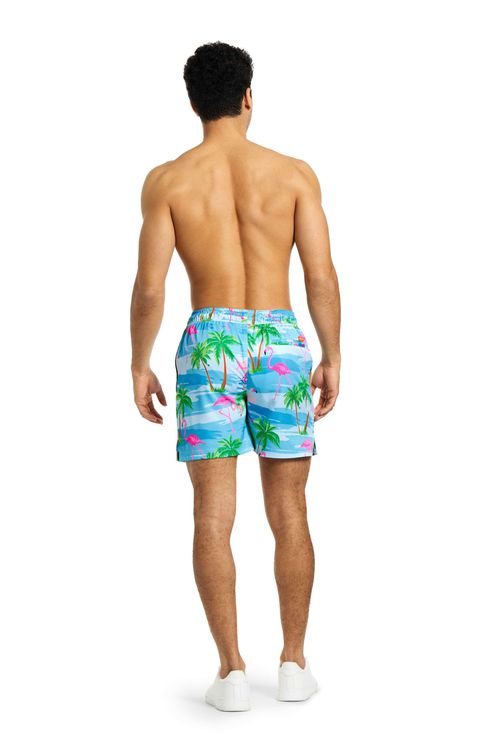 OppoSuits Men's Swim Shorts - Multicolor - flaminguy