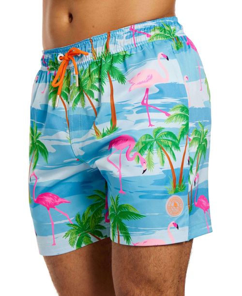 OppoSuits Men's Swim Shorts - Multicolor - flaminguy