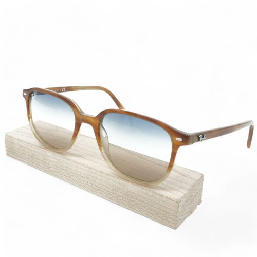 [RB2193-1328/GD_51] UNISEX RAY-BAN LEONARD SUNGLASSES